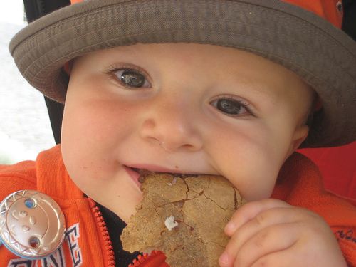 С какого возраста можно попробовать печенье ввести в прикорм ребенку