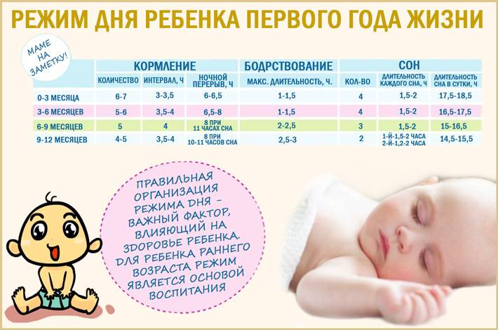 Режим сна ребенка до года — примеры распорядка дня