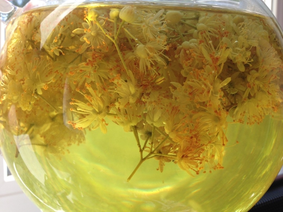 Чай каркаде: с какого возраста давать ребенку?