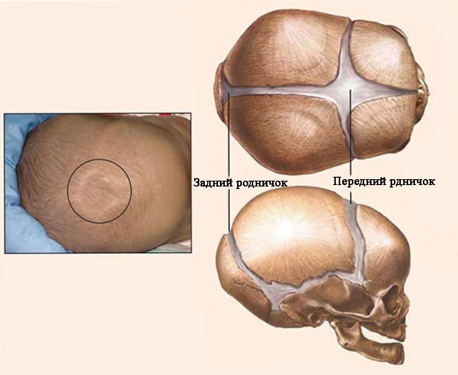 Черты характера новорожденных детей
