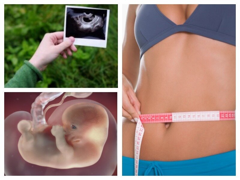 Подробные рекомендации на 8-й неделе беременности