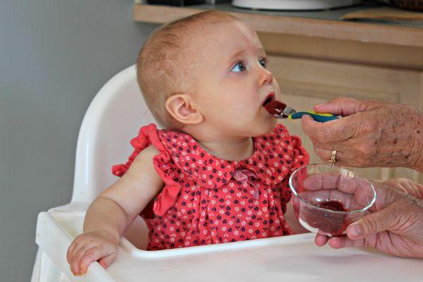 Роль чернослива в питании ребенка и как правильно его ввести в первый прикорм