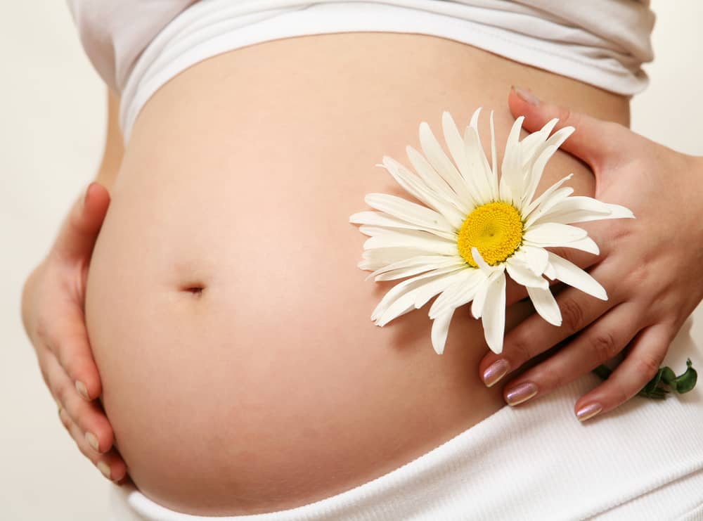 Польза ромашки во время беременности