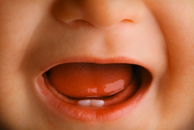 График прорезывания зубов у детей до года