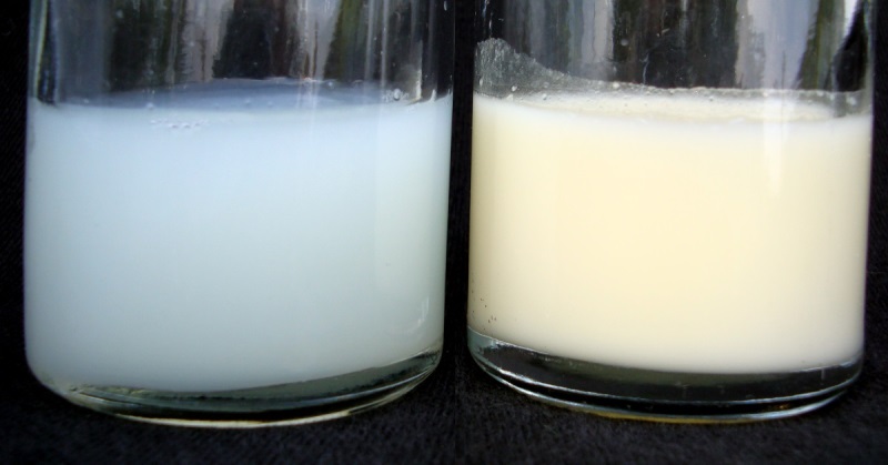 Каким может быть внешний вид грудного молока?