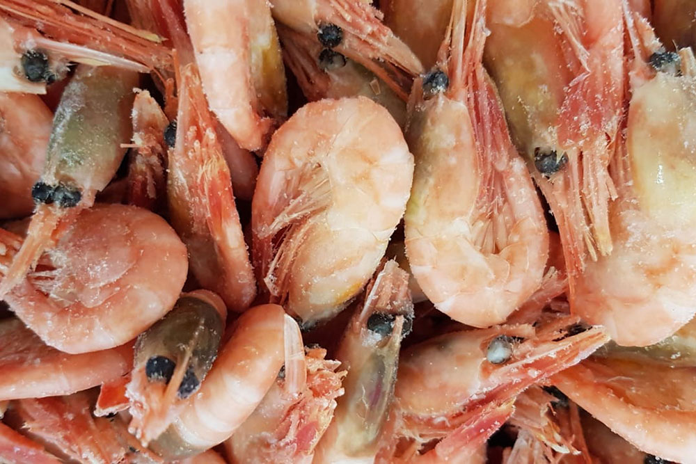 Может ли кормящая мама употреблять кальмары? не нанесет ли морепродукт вред здоровью грудничка?