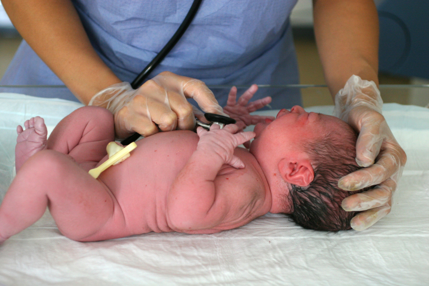 Правила приема грудничков в поликлинике