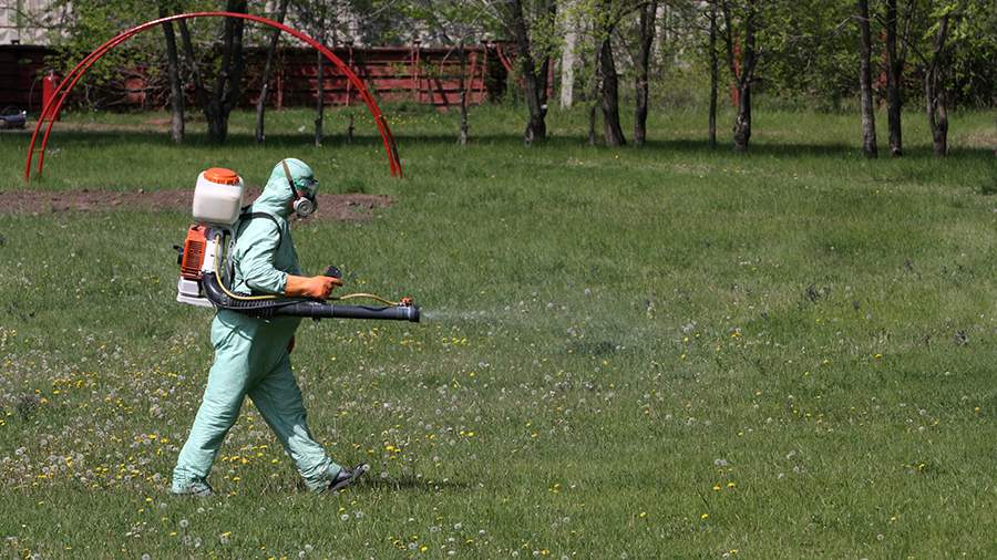 Коронавирус и кормление грудью: как быть?