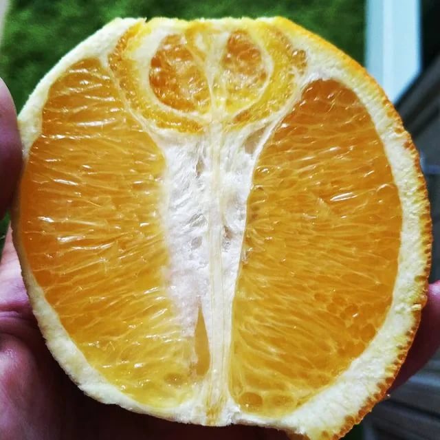 Свежевыжатый апельсиновый сок при беременности