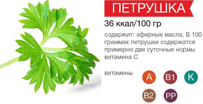 Можно ли кормящей маме петрушку?