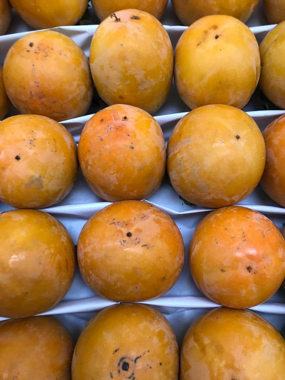 Хурма в детском питании – с какого возраста и как следует вводить её в рацион ребёнка?