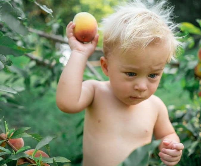 Можно ли абрикос детям? польза абрикоса для грудничка - семья и дети