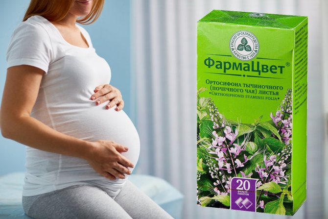 Травяной чай, копчености при беременности: опыт Екатерины