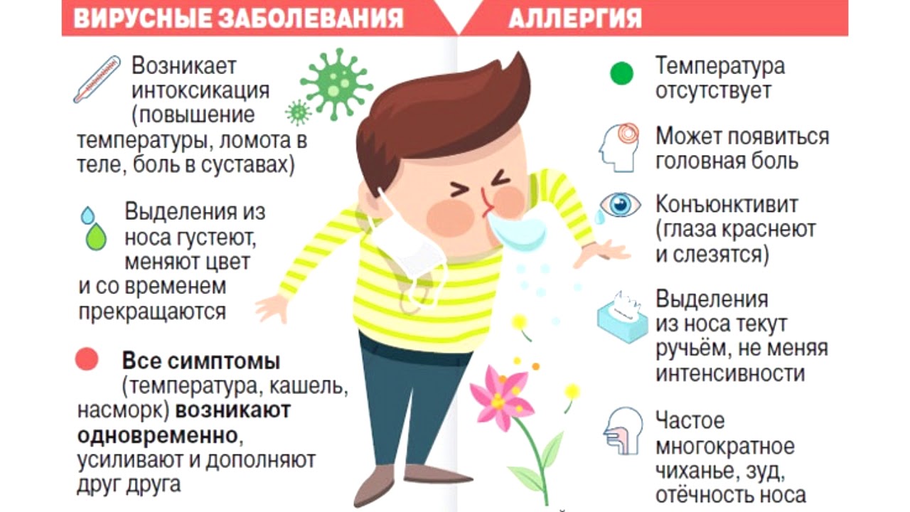 Аллергический кашель у ребенка — симптомы