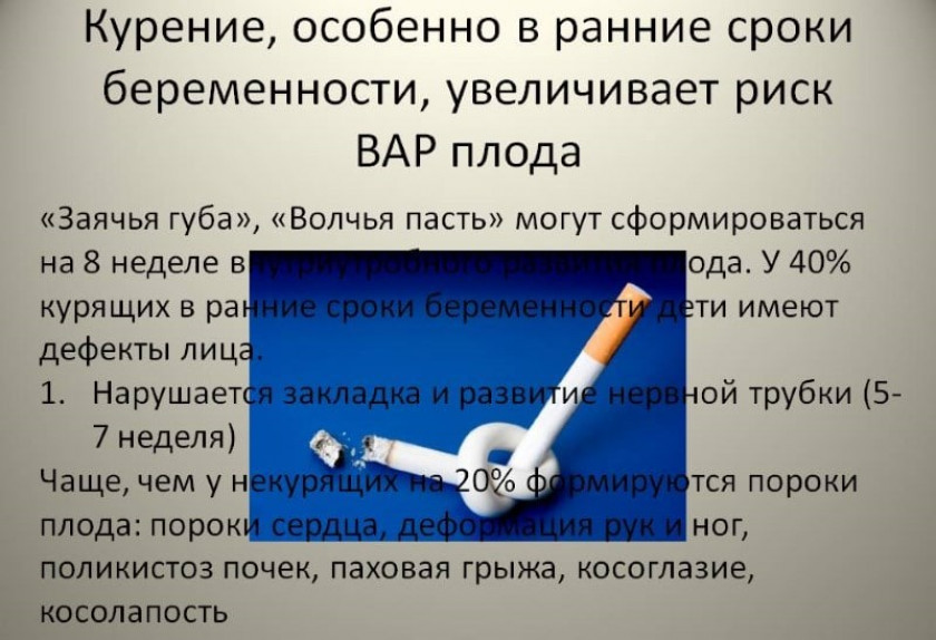 10 забавных фактов о ребенке во время беременности