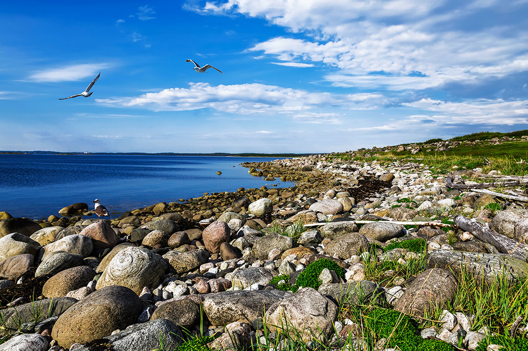 Где отдохнуть зимой с детьми в 2019 году: ТОП-10 лучших мест для путешествия