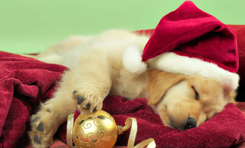 Подарки детям: 5 советов, о чем должна знать каждая мама! Подарки на Новый 2018 год