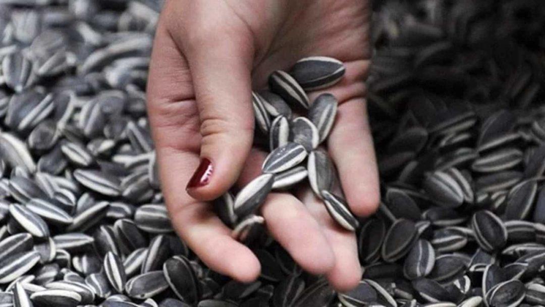 Семечки при беременности