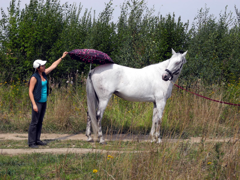 Пять главных помех на пути к  материнскому счастью