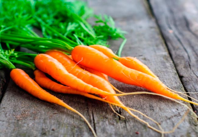 Морковь при гв: можно ли мамам есть этот продукт в первый и другие месяцы грудного вскармливания, как употреблять вареную и сырую, а также рецепты из свежего овоща русский фермер