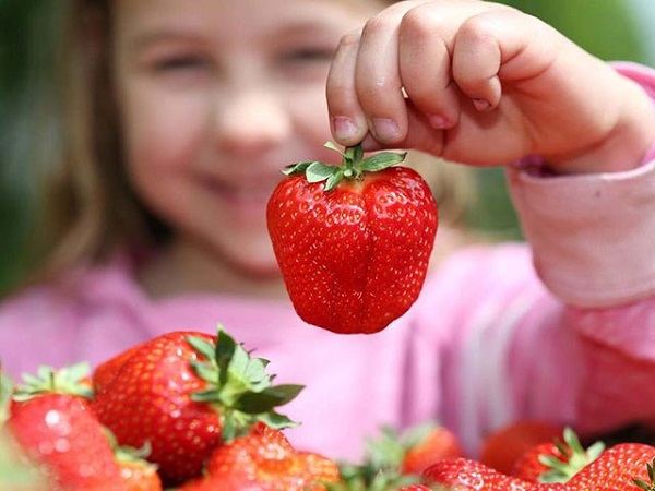 Дачные вкусности: с какого возраста можно давать детям клубнику, малину, прочие ягоды
