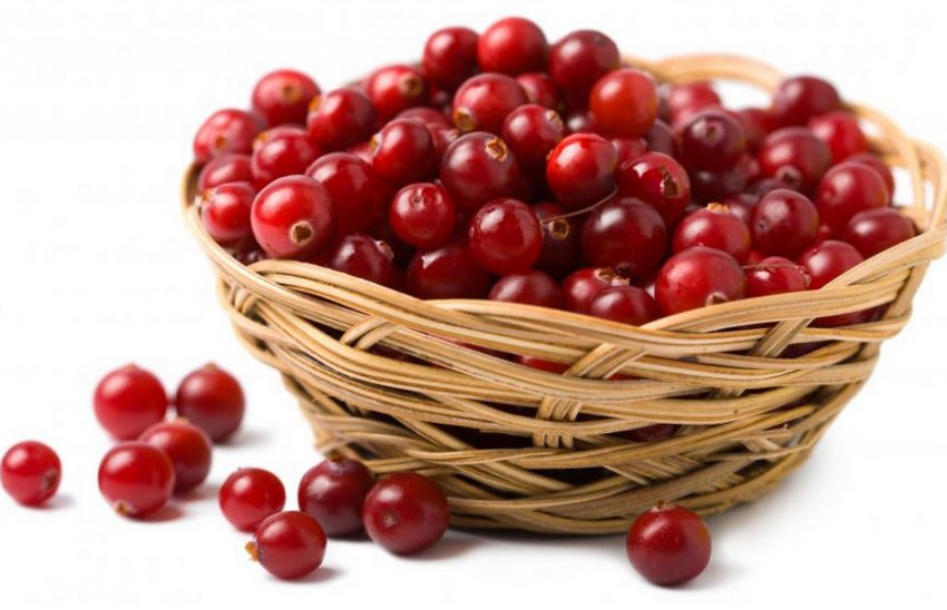 С какого возраста можно давать детям клюкву и клюквенный морс