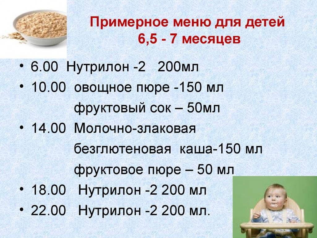 Режим дня ребенка и питания в 7-8 месяцев