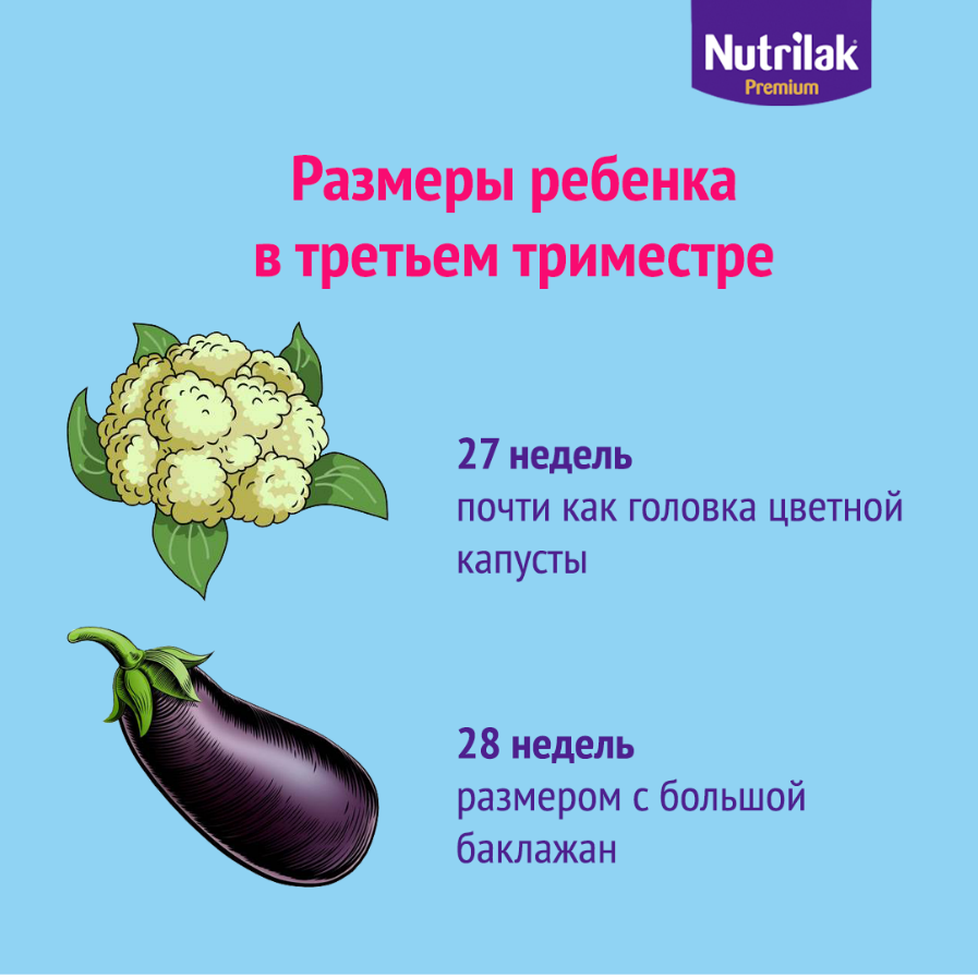 7 неделя беременности