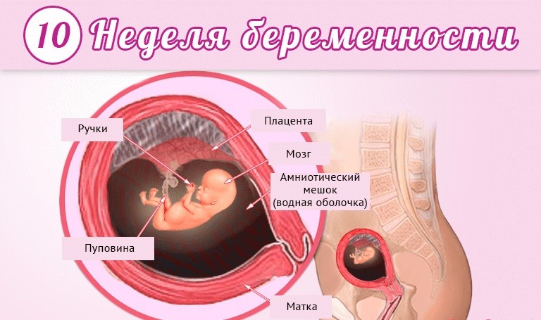 Особенности течения беременности, родов и послеродового периода у пациенток с аденомиозом | кравцова | медицинский вестник юга россии
