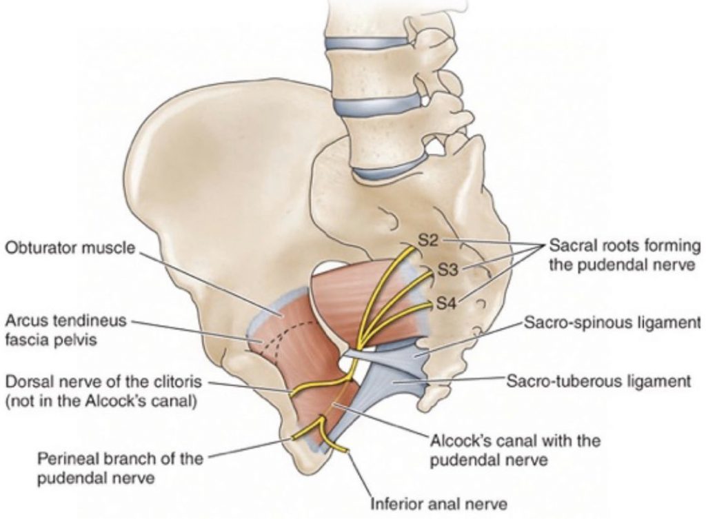 Почему у ребенка болит попа внутри — симптомы, чем обусловлена боль