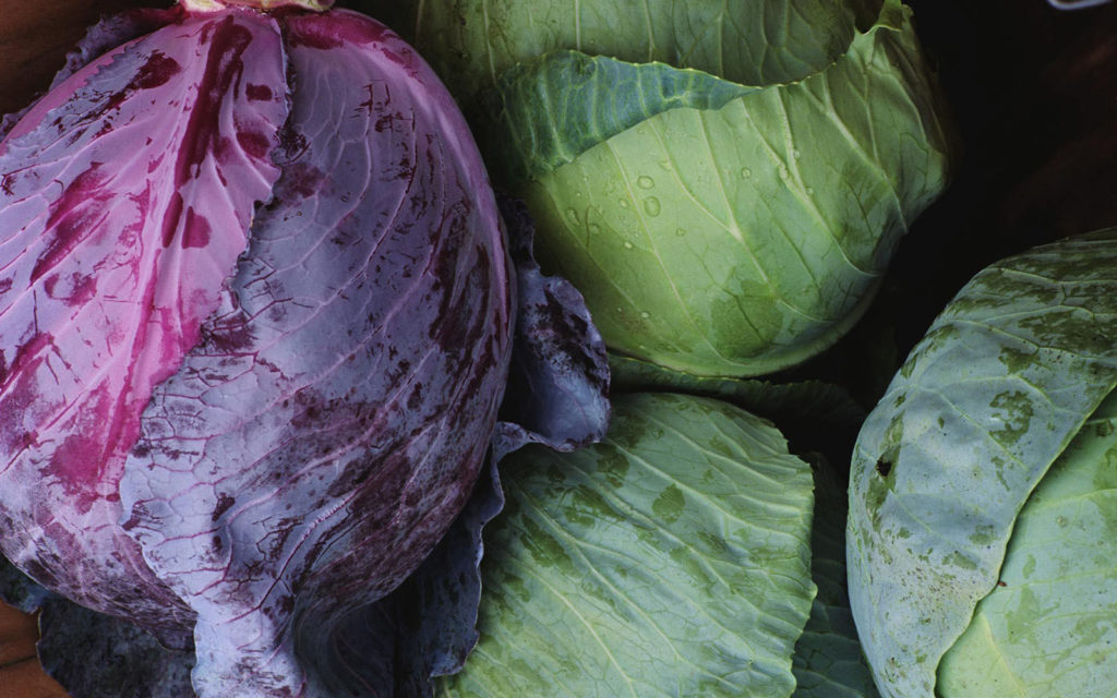 Можно ли супы кормящей маме?