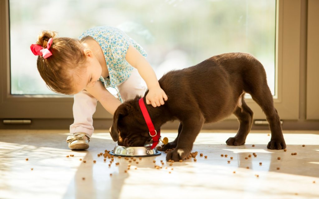 5 альтернативных вариантов сказать ребенку «НЕТ»