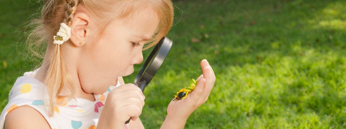 Ребёнок боится насекомых: что делать, способы устранения страха