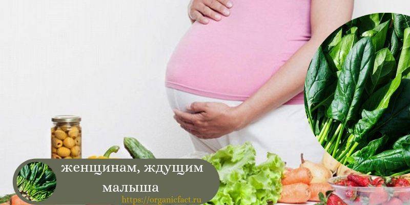 Ожирение и репродуктивное здоровье женщины
