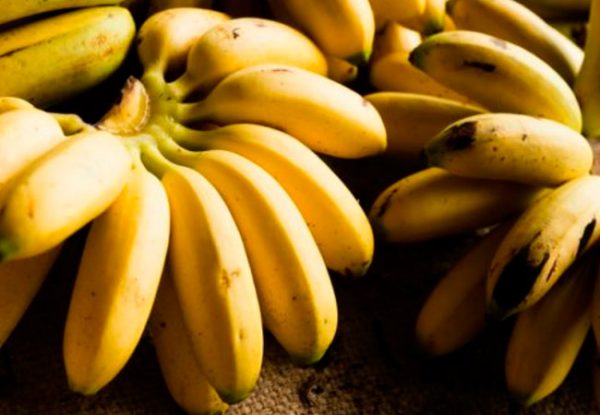 Можно ли кормящей маме кушать бананы в период ГВ