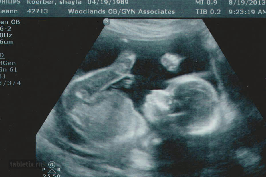 21 неделя беременности: развитие ребенка | pampers ru