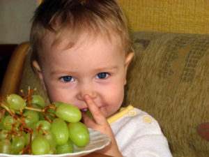 Фрукты и ягоды для детского питания: с какого возраста ребенку можно давать виноград?