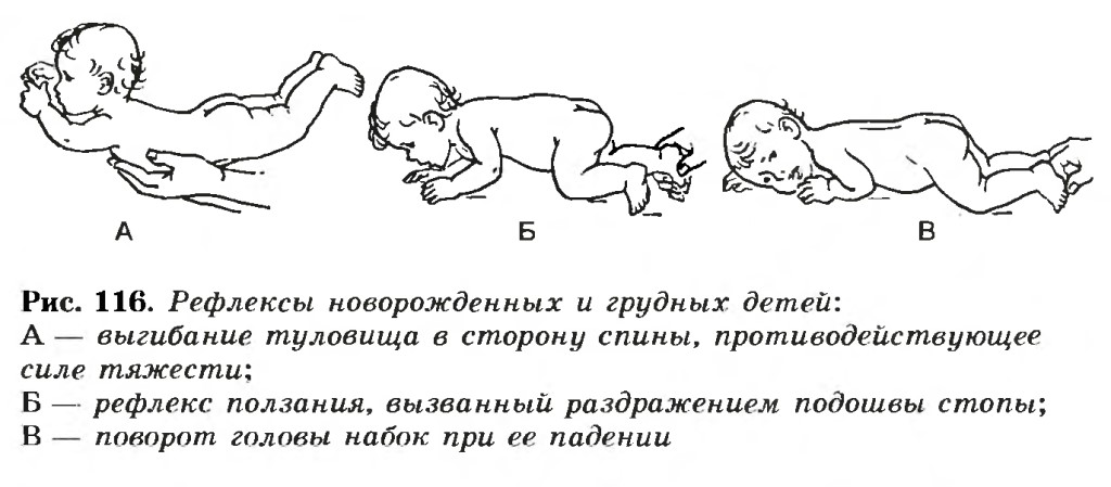 Основные рефлексы и навыки новорожденных детей