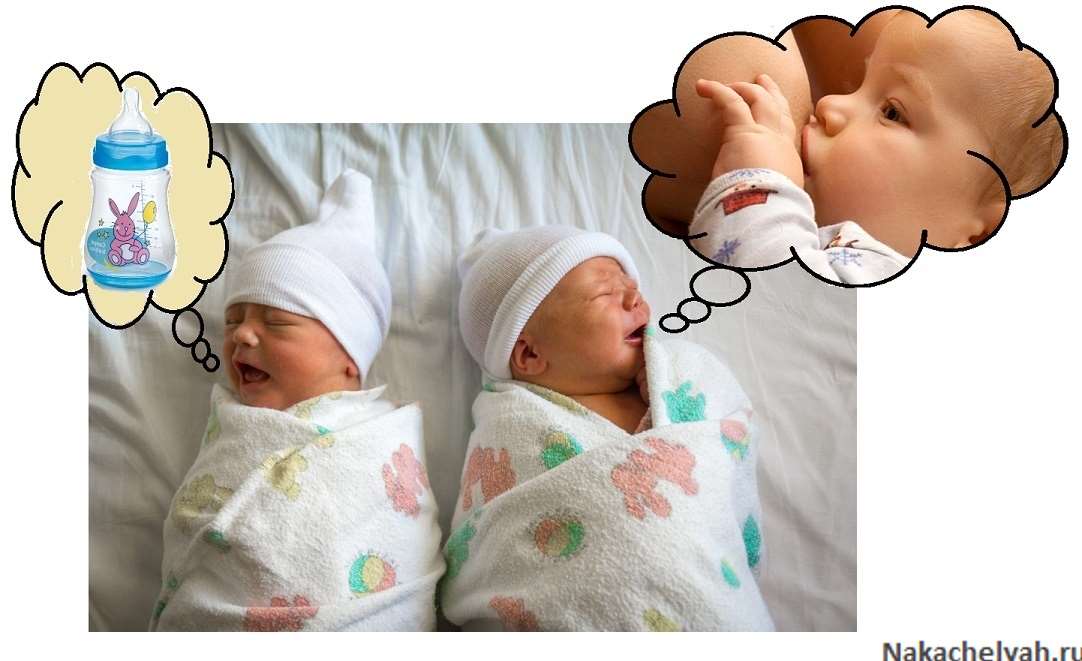Уход за новорожденными двойняшками – главные советы молодой маме