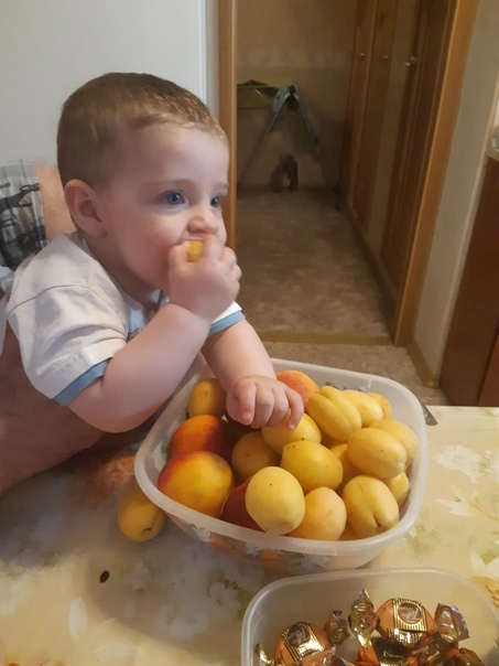 В каком возрасте можно давать детям абрикосы