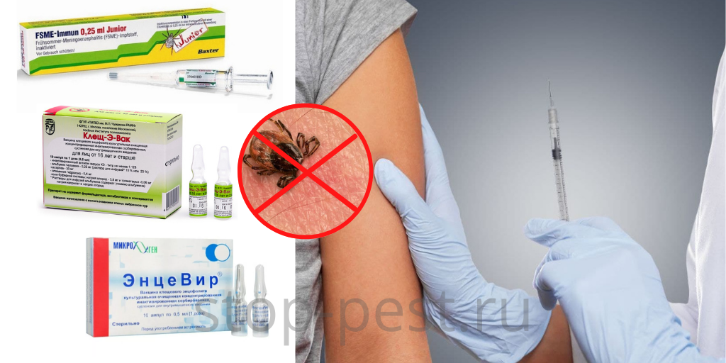 10 главных ошибок при защите от клещей