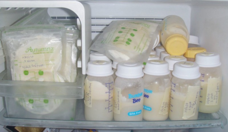 Все о правильном хранении сцеженного грудного молока