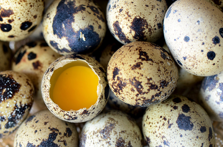 Яйца в прикорме: как, когда и сколько можно их малышу?