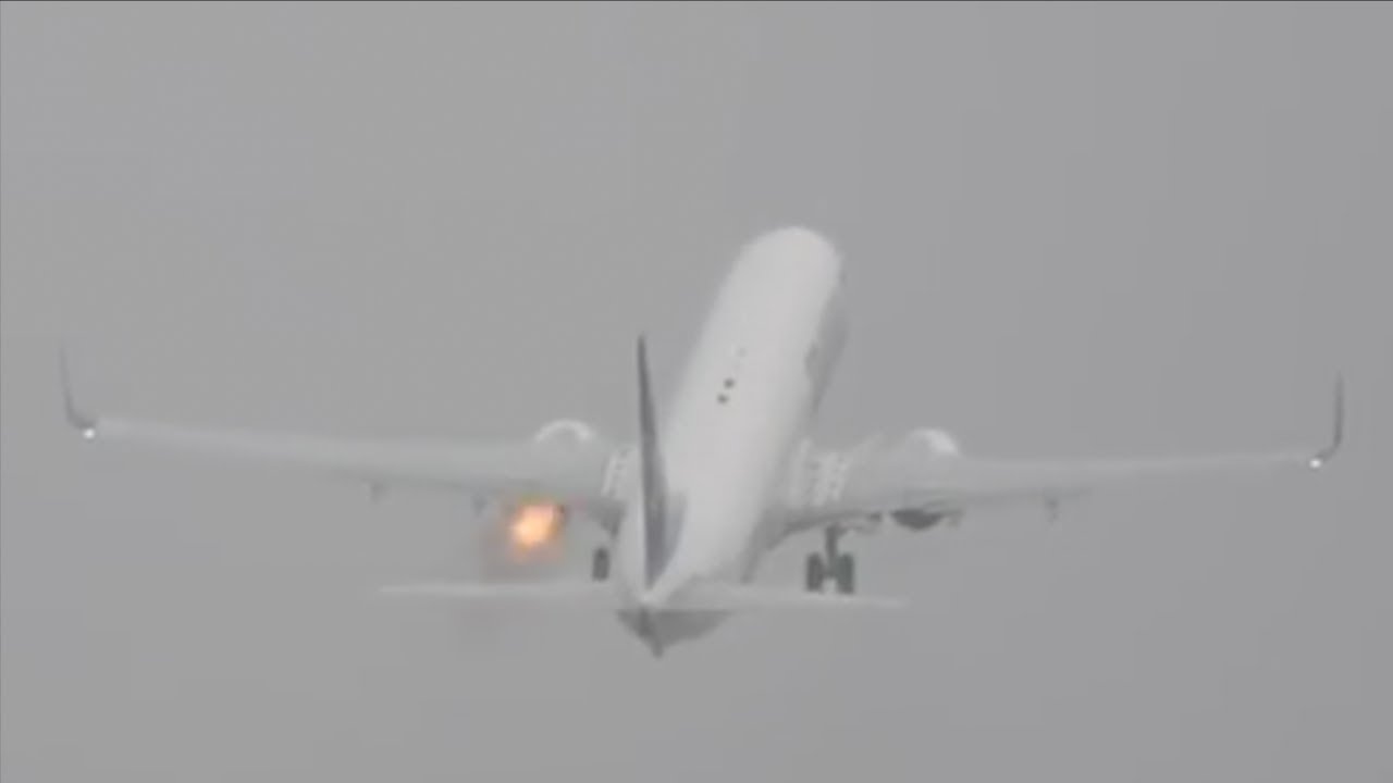 Почему летают птицы (как объяснить ребенку 3-5 лет)