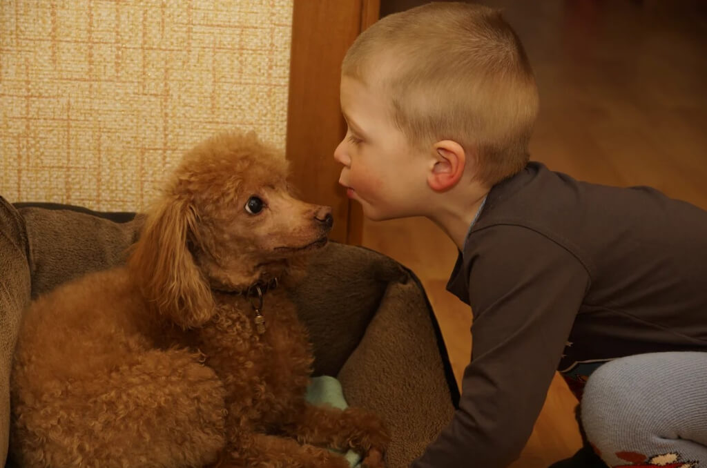 Питомец для ребенка: правила выбора и советы по уходу