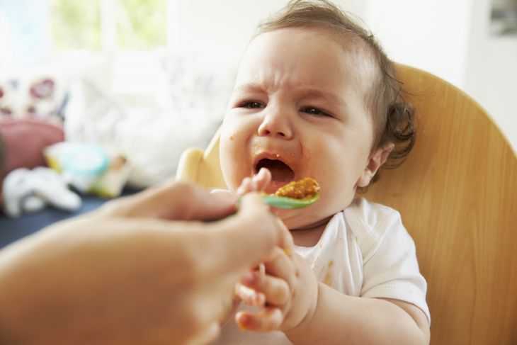 Как заставить ребенка кушать | советы как заставлять есть в саду