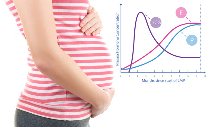 Дюфастон при беременности: о чем не расскажут врачи