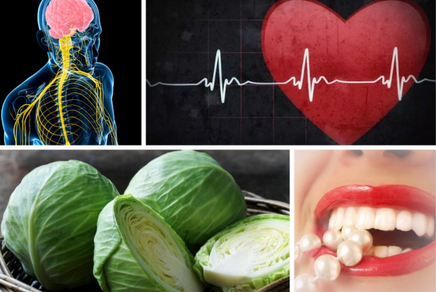 Можно ли капусту кормящей маме?