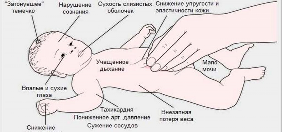 Ребенок не пьет воду — что делать на ИВ и ГВ